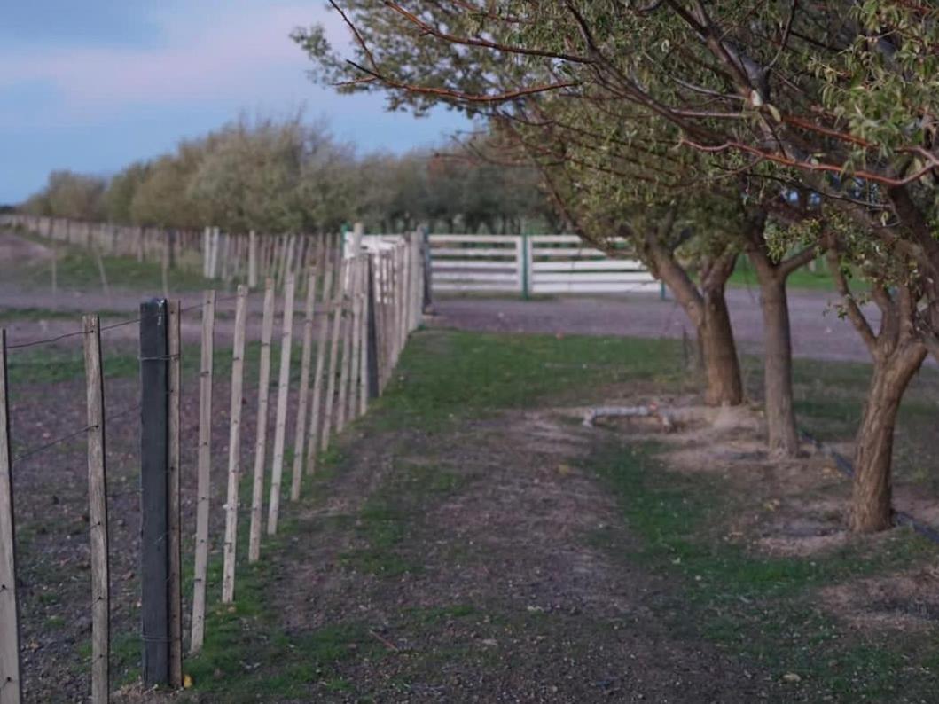 Estancia Tatay Trelew Ngoại thất bức ảnh